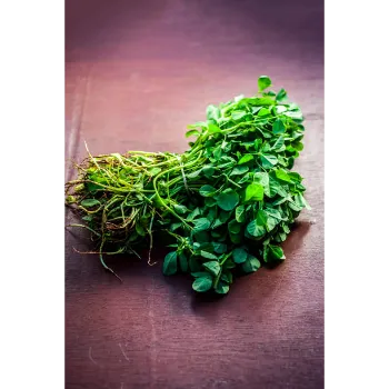 Dried Fenugreek Leaves
